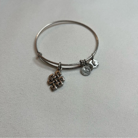 Alex And Ani Endless Knot Charm Antique Silver Finish Bangle Bracelet One Size - Picture 10 of 16